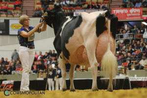 wde16_holstein_1m9a9868-web780
