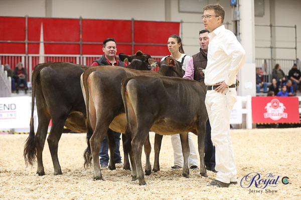 Royal Jersey Show 2018 Cowsmo Royal Winter Fair Jersey Show 2022